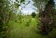 Additional image 43 of Llandissilio, Clynderwen, SA66