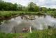 Additional image 8 of Llandissilio, Clynderwen, SA66