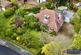 Additional image 26 of Whitburn Road, Cleadon