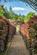 Additional image 47 of Hook House Lane, Dunsfold, Godalming, Surrey GU8