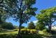 Additional image 32 of Hayfield Avenue, Poulton-le-Fylde FY6