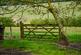 Additional image 22 of Pett Road, Stockbury, Sittingbourne, Kent, ME9