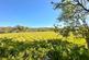 Additional image 19 of Coppice Road, Poynton, SK12