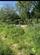 Additional image 3 of Hobhole Bank, New Leake, Boston