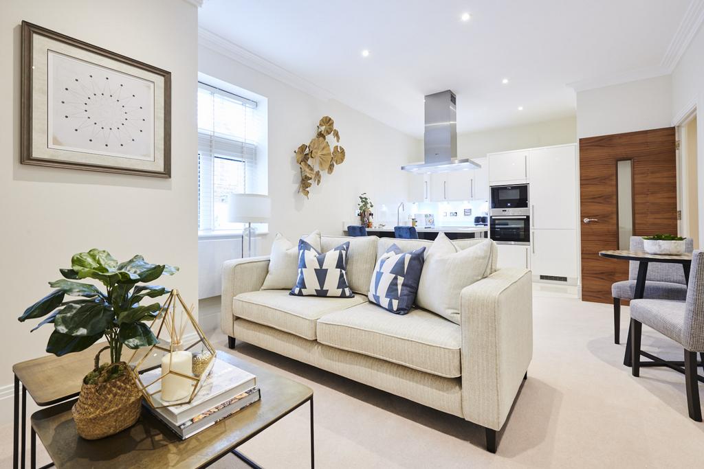 1 bedroom apartment to rent