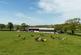Additional image 44 of Trevaughan, Whitland, SA34