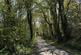 Additional image 45 of Trevaughan, Whitland, SA34