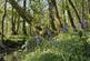 Additional image 47 of Trevaughan, Whitland, SA34