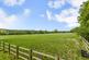 Additional image 24 of Homestall Stud , East Grinstead