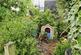 Additional image 14 of Hanley Path, Cwmbran, NP44