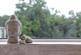 Additional image 11 of Corbrook Grange, Corbrook, Audlem, CW3