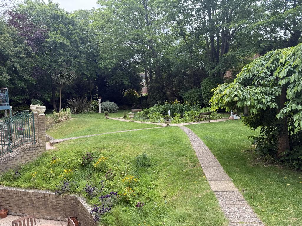 Garden view