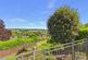Additional image 38 of Courtenay Road, Newton Abbot