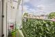 Additional image 7 of Hillyfield, Walthamstow, London, E17