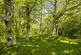 Additional image 26 of Chiddingly, Lewes, East Sussex, BN8