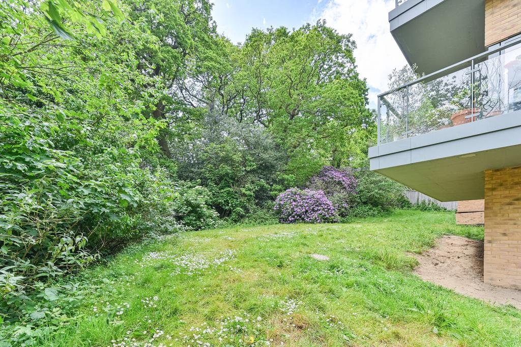 Garden view, garden