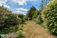 Additional image 2 of Barnfield Avenue, Kingston Upon Thames KT2