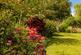 Additional image 40 of Lauder Road, Edinburgh, Midlothian, EH9