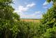 Additional image 11 of Barnston Road, Heswall, Wirral