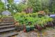 Additional image 19 of Banchory Avenue, Inchinnan, PA4