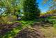 Additional image 15 of Ranachan Cottage, Nr Strontian