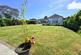 Additional image 31 of Glenmoor Road, West Parley, Ferndown