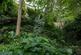 Additional image 8 of Fitzwarren Gardens, Whitehall Park, N19