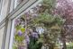 Additional image 33 of Beech Tree House, Woore Road, Audlem, CW3
