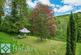 Additional image 46 of Treburvaugh House, Knighton - With Approx. 10 Acres