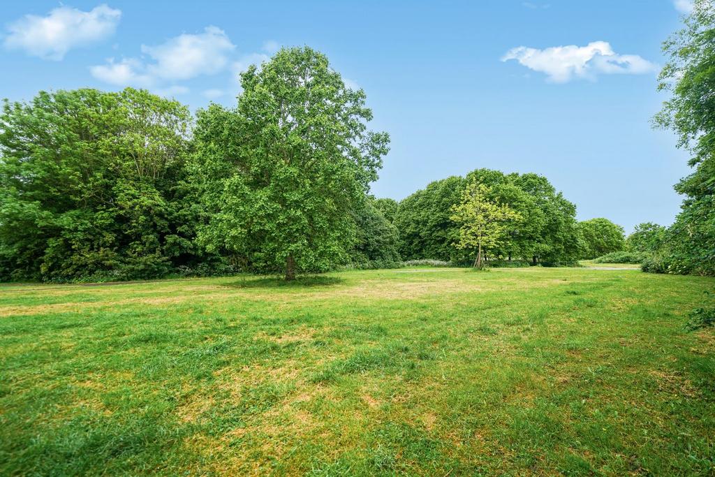 Garden view, garden