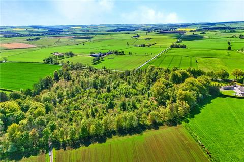 Land for sale, Artamford Wood, New Deer, Turriff, Aberdeenshire, AB53