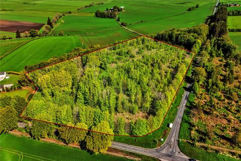 Land for sale, Artamford Wood, New Deer, Turriff, Aberdeenshire, AB53