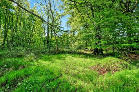 Land for sale, Artamford Wood, New Deer, Turriff, Aberdeenshire, AB53