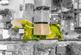 Additional image 5 of Chanton Close, Leigh-on-sea, SS9