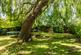 Additional image 29 of Malden Road, New Malden, Surrey, KT3