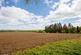 Additional image 34 of Wellmuir, Humbie Road, Newton Mearns