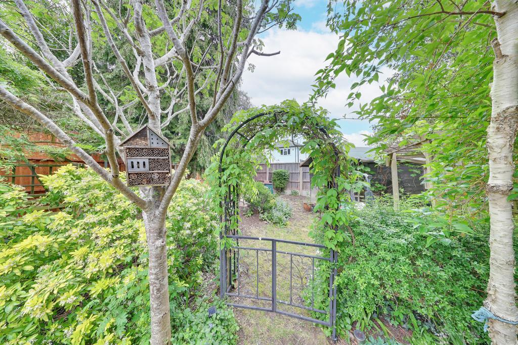 Garden view, garden