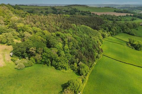 undefined, Colyton, East Devon