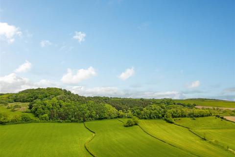 undefined, Colyton, East Devon