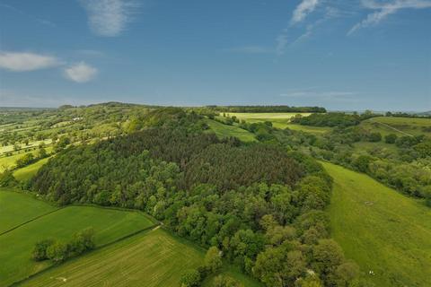 undefined, Colyton, East Devon