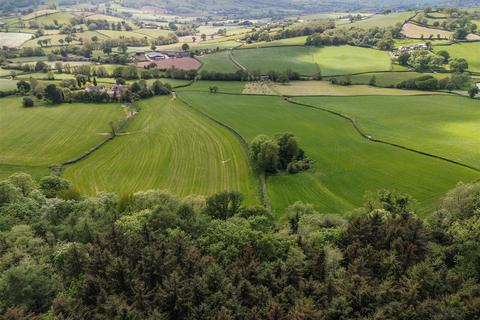 undefined, Colyton, East Devon