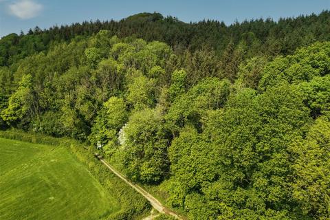 undefined, Colyton, East Devon