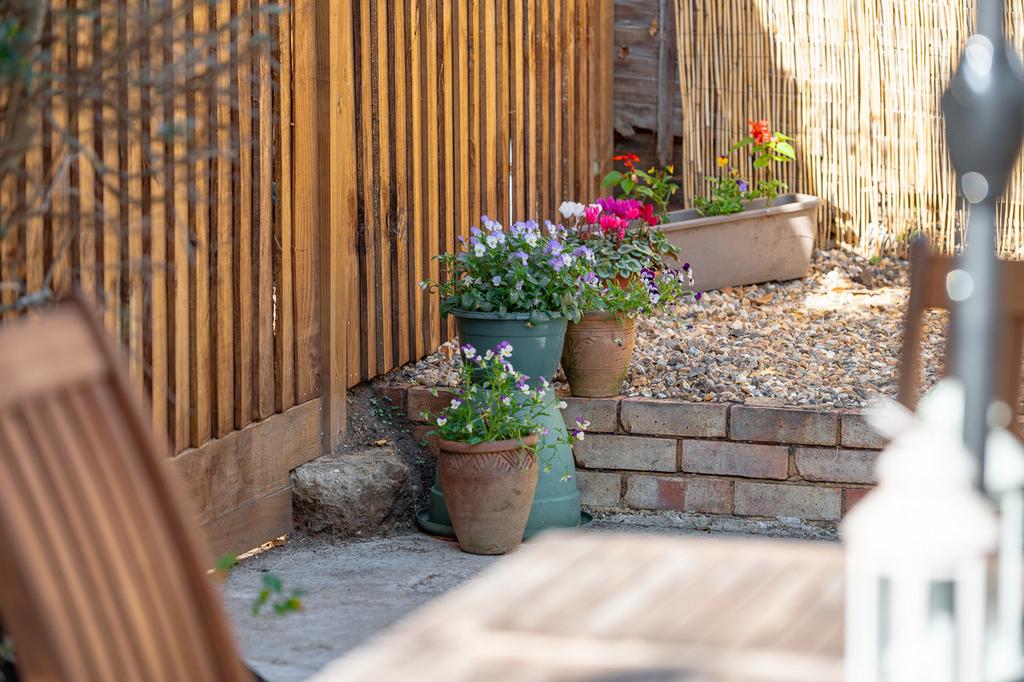 Patio view