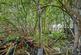 Additional image 25 of Girton Road, Ellesmere Port, CH65