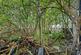 Additional image 26 of Girton Road, Ellesmere Port, CH65
