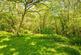 Additional image 31 of Mount Road, Benfleet, SS7