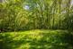 Additional image 34 of Mount Road, Benfleet, SS7