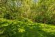 Additional image 35 of Mount Road, Benfleet, SS7