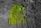 Additional image 39 of Mount Road, Benfleet, SS7