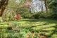 Additional image 21 of Church Road, Uppermill, Saddleworth, OL3